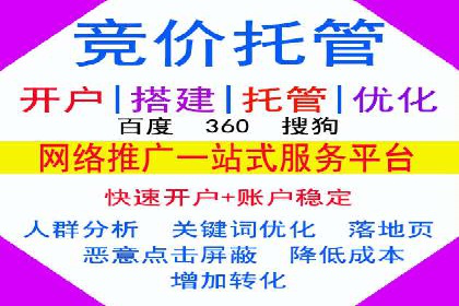 竞价托管服务案例解析